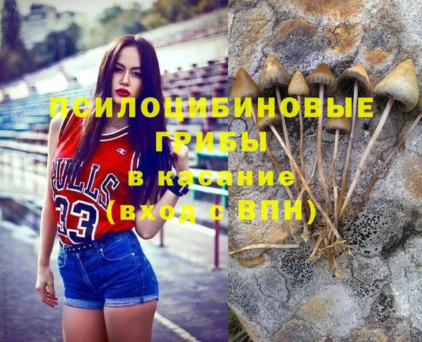 винт Наволоки