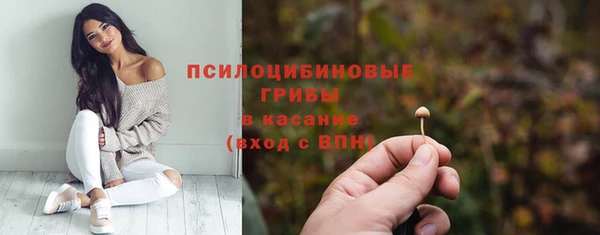 винт Наволоки